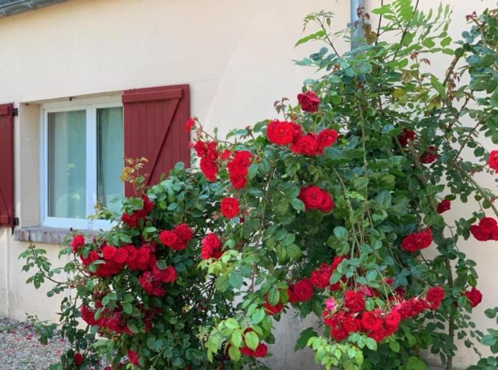 Chambres D'Hotes Les Roches Noires Trouville-sur-Mer Exteriér fotografie